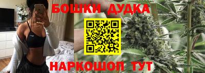 мдпв Будённовск