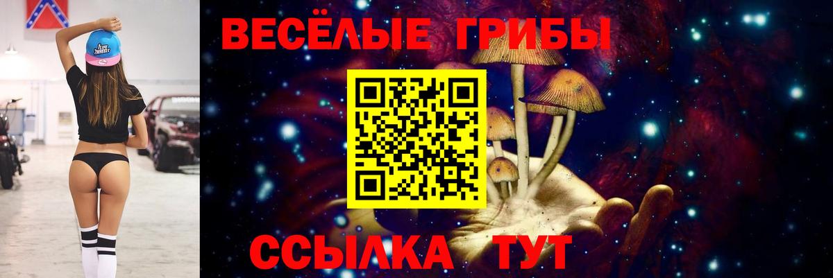 Псилоцибиновые грибы ЛСД  Псилоцибиновые грибы ЛСД  Вход с VPN  Рязань 